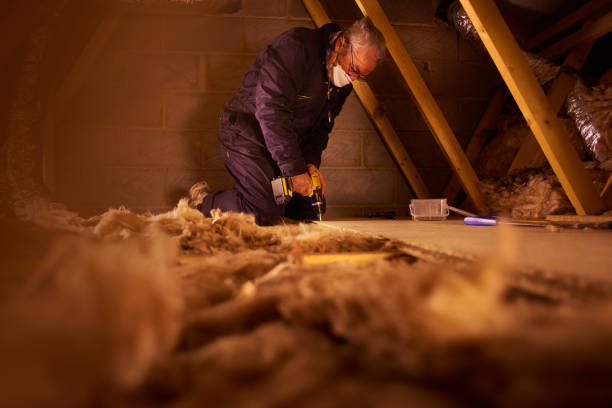 Professional Insulation Contractor in Trinity, AL